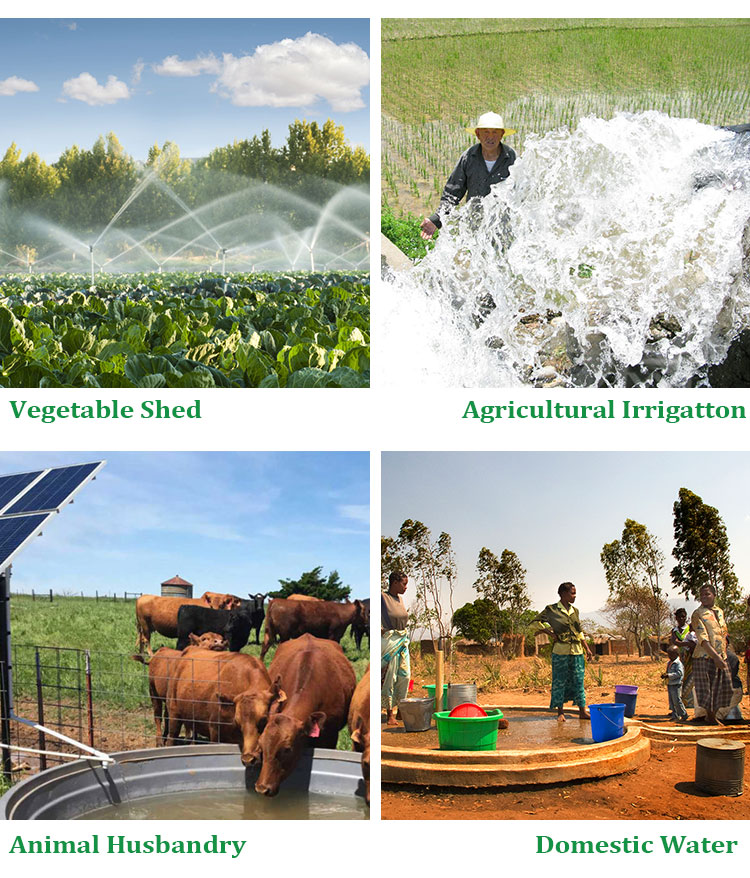 DC Solar Water Pump  第12张