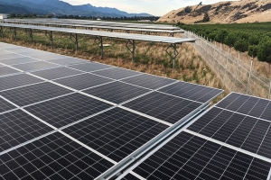 Photovoltaic Poverty Alleviation Power Station