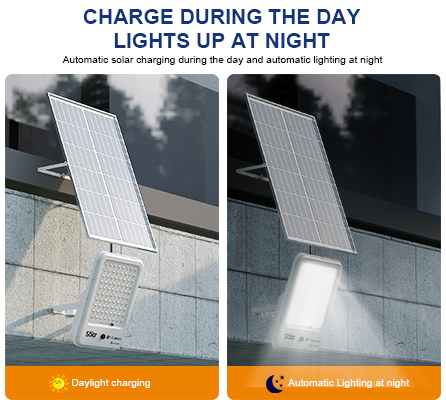 Solar LED Floodlight with Camera  第4张