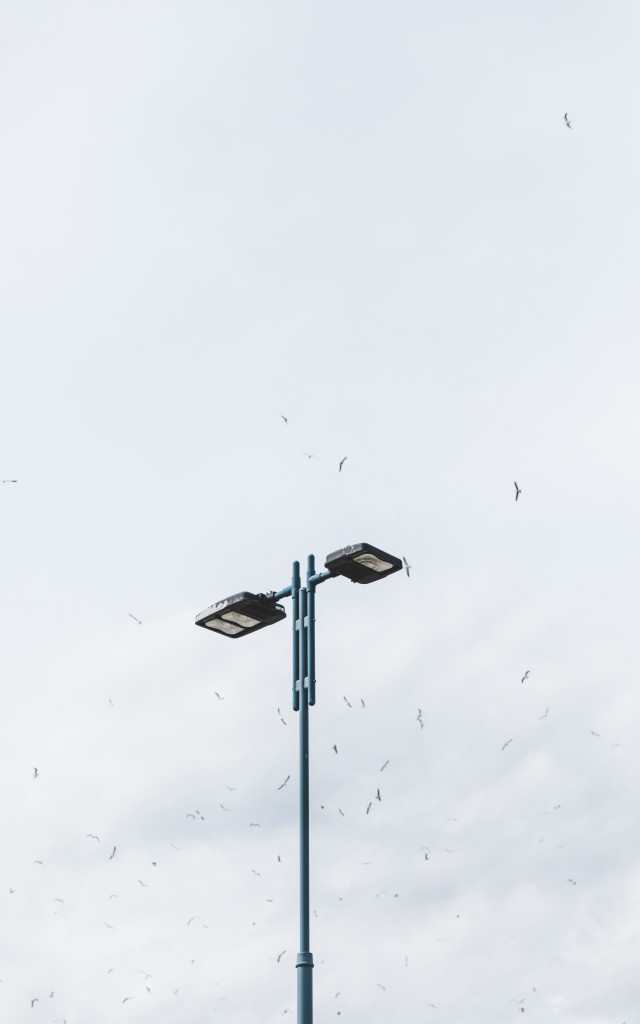 Solar street light company